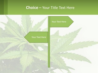 Older Sunset Sad PowerPoint Template