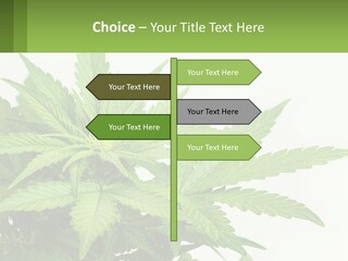 Older Sunset Sad PowerPoint Template