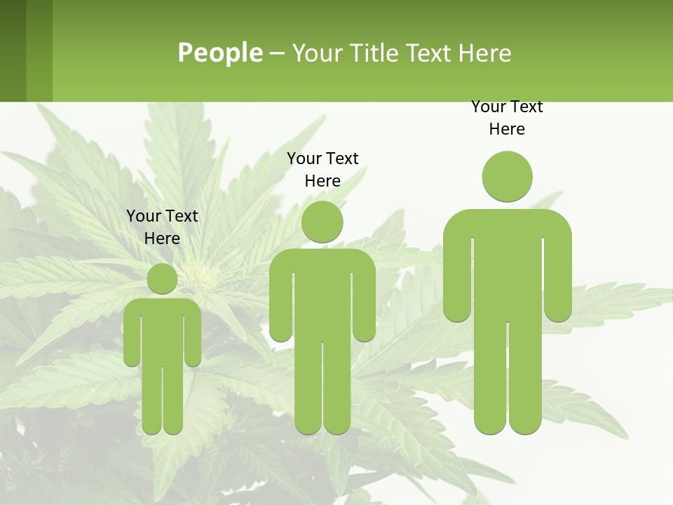 Older Sunset Sad PowerPoint Template