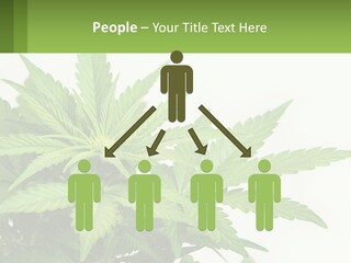 Older Sunset Sad PowerPoint Template