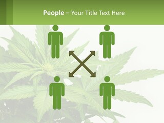 Older Sunset Sad PowerPoint Template