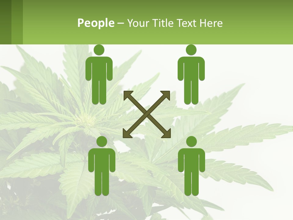 Older Sunset Sad PowerPoint Template