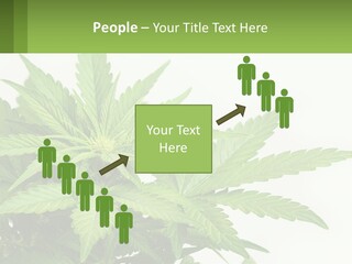 Older Sunset Sad PowerPoint Template