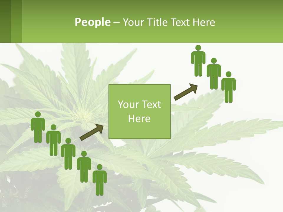 Older Sunset Sad PowerPoint Template