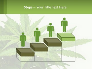 Older Sunset Sad PowerPoint Template