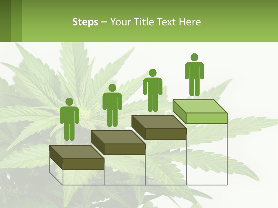 Older Sunset Sad PowerPoint Template