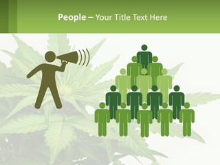 Older Sunset Sad PowerPoint Template