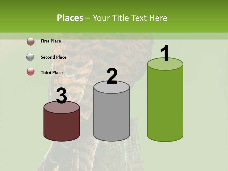 Single Life Old PowerPoint Template