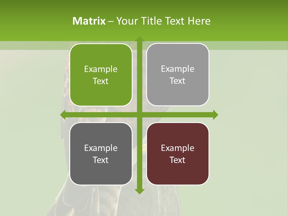 Single Life Old PowerPoint Template