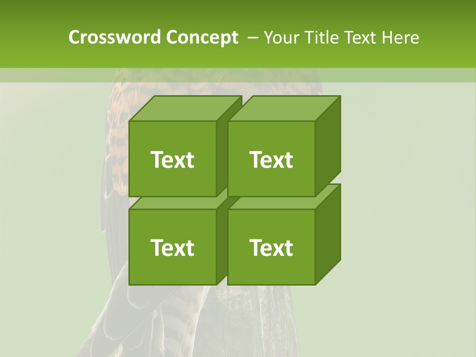 Single Life Old PowerPoint Template