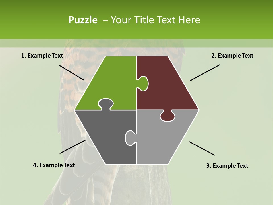 Single Life Old PowerPoint Template