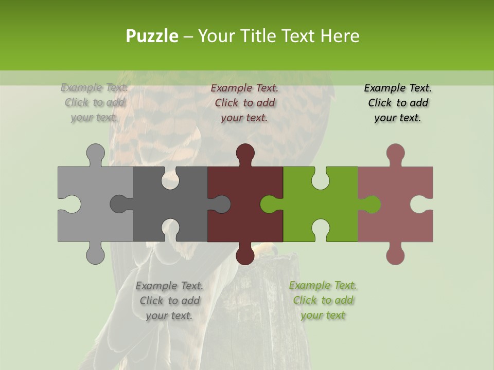 Single Life Old PowerPoint Template