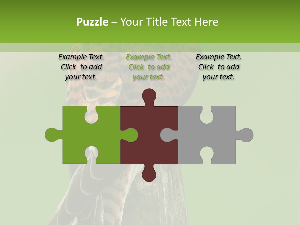 Single Life Old PowerPoint Template