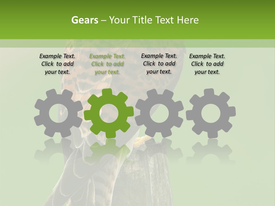 Single Life Old PowerPoint Template