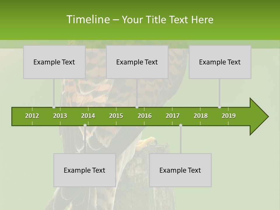 Single Life Old PowerPoint Template