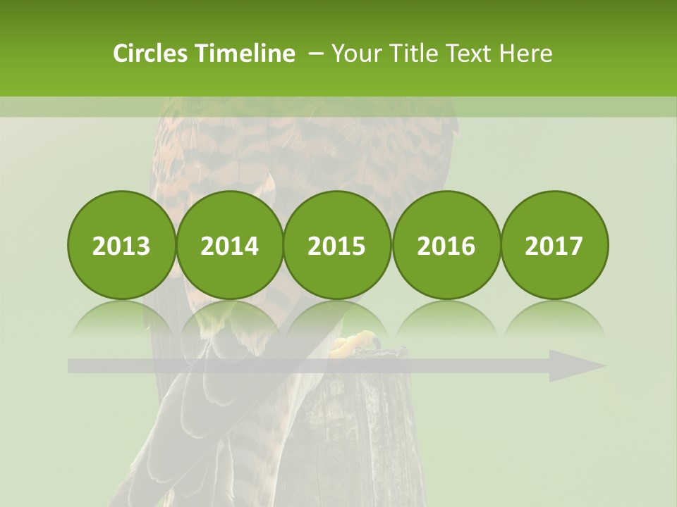 Single Life Old PowerPoint Template