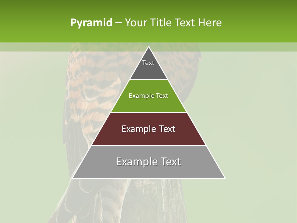 Single Life Old PowerPoint Template