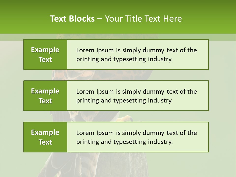 Single Life Old PowerPoint Template