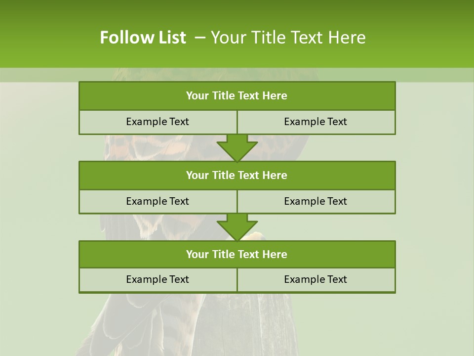 Single Life Old PowerPoint Template