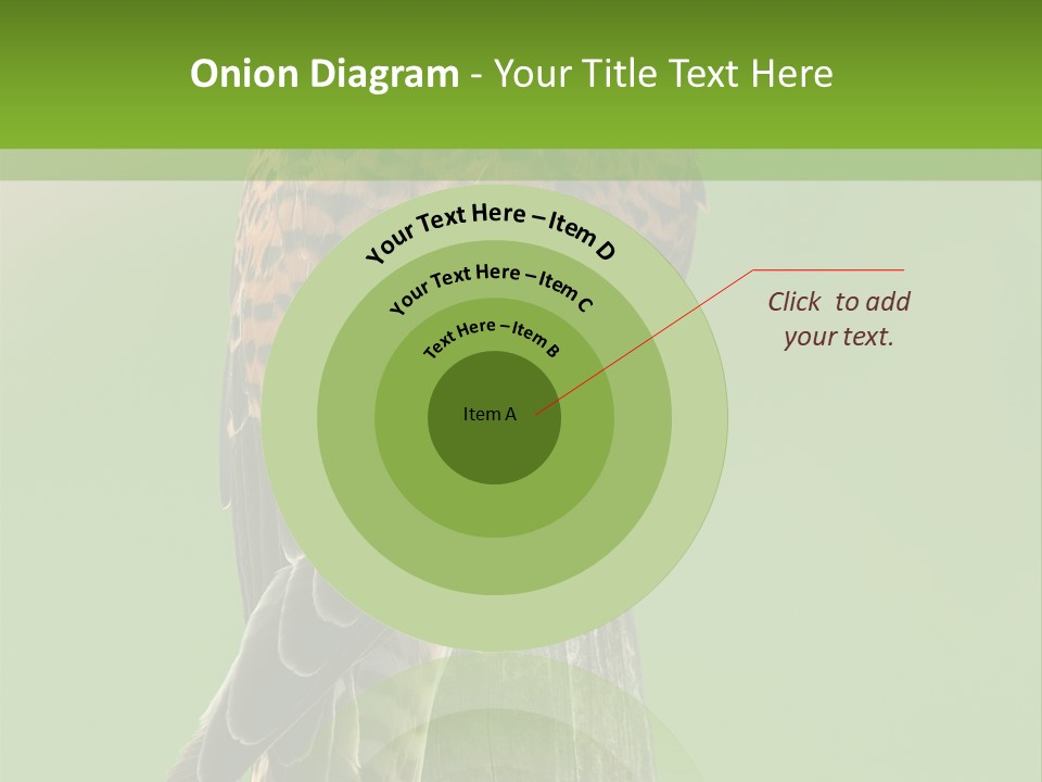 Single Life Old PowerPoint Template