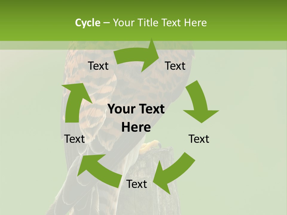 Single Life Old PowerPoint Template