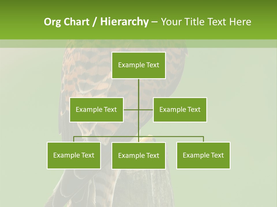 Single Life Old PowerPoint Template