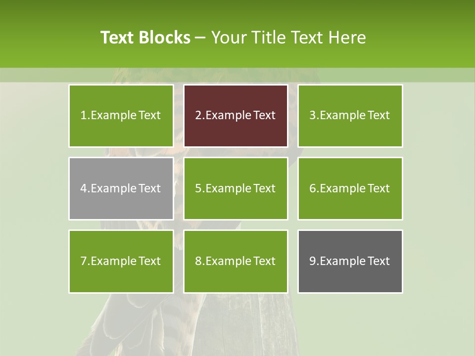 Single Life Old PowerPoint Template