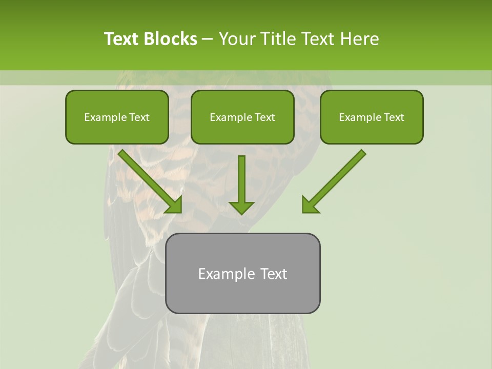 Single Life Old PowerPoint Template