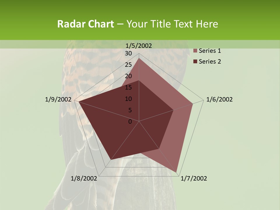 Single Life Old PowerPoint Template