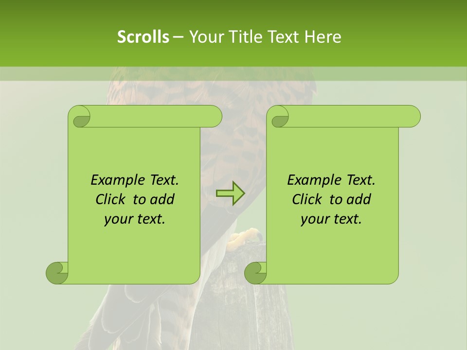Single Life Old PowerPoint Template