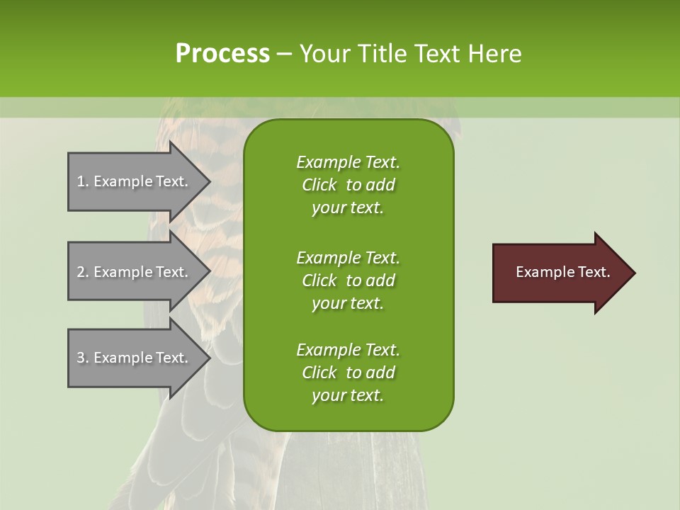 Single Life Old PowerPoint Template