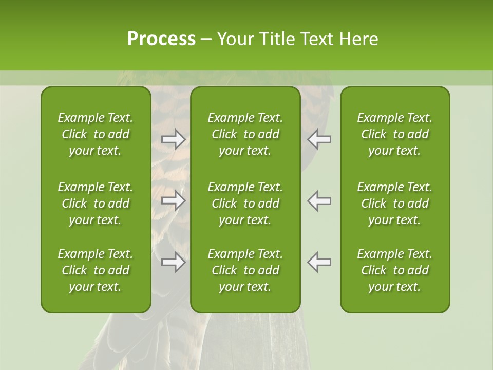 Single Life Old PowerPoint Template