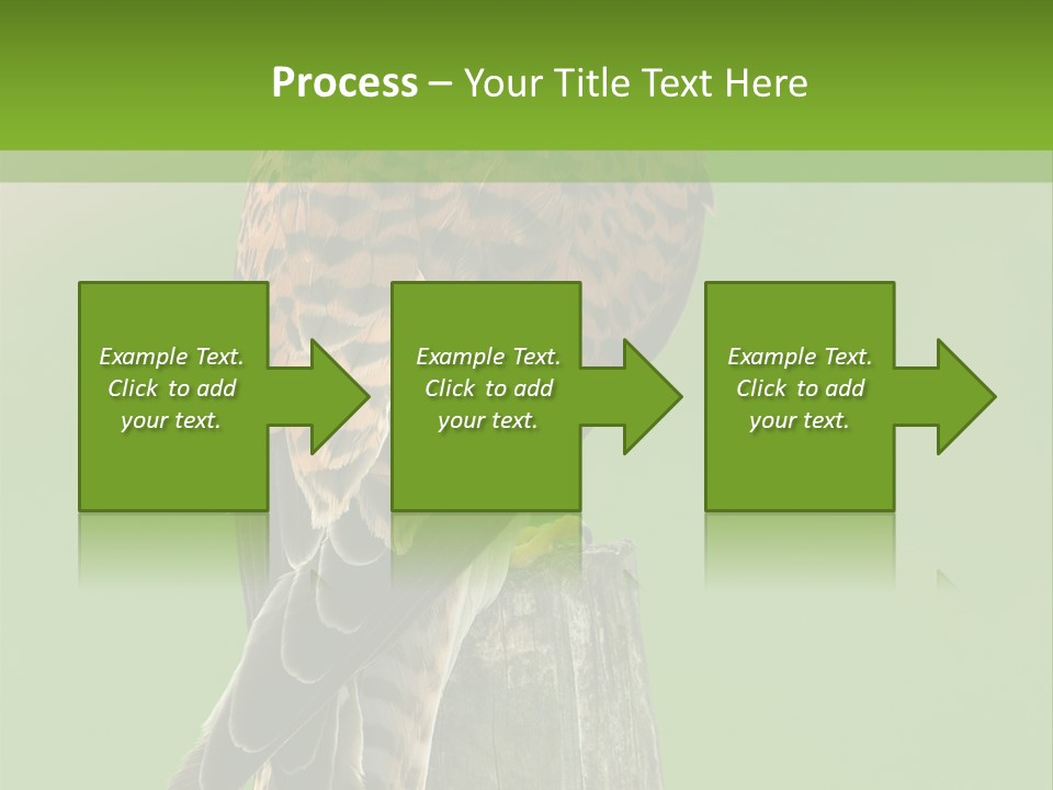 Single Life Old PowerPoint Template