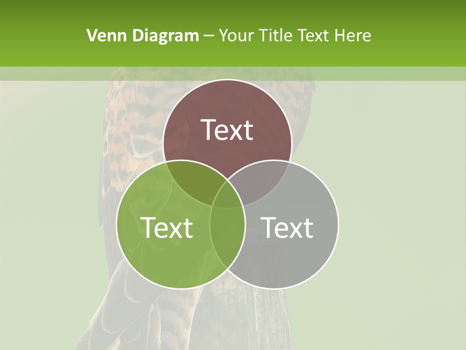 Single Life Old PowerPoint Template