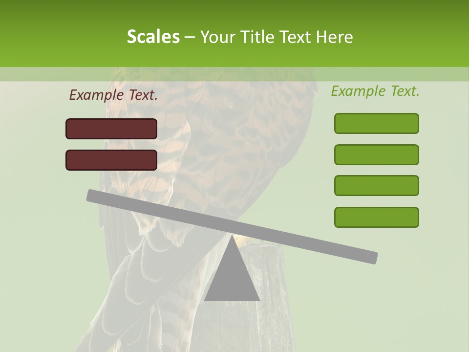 Single Life Old PowerPoint Template