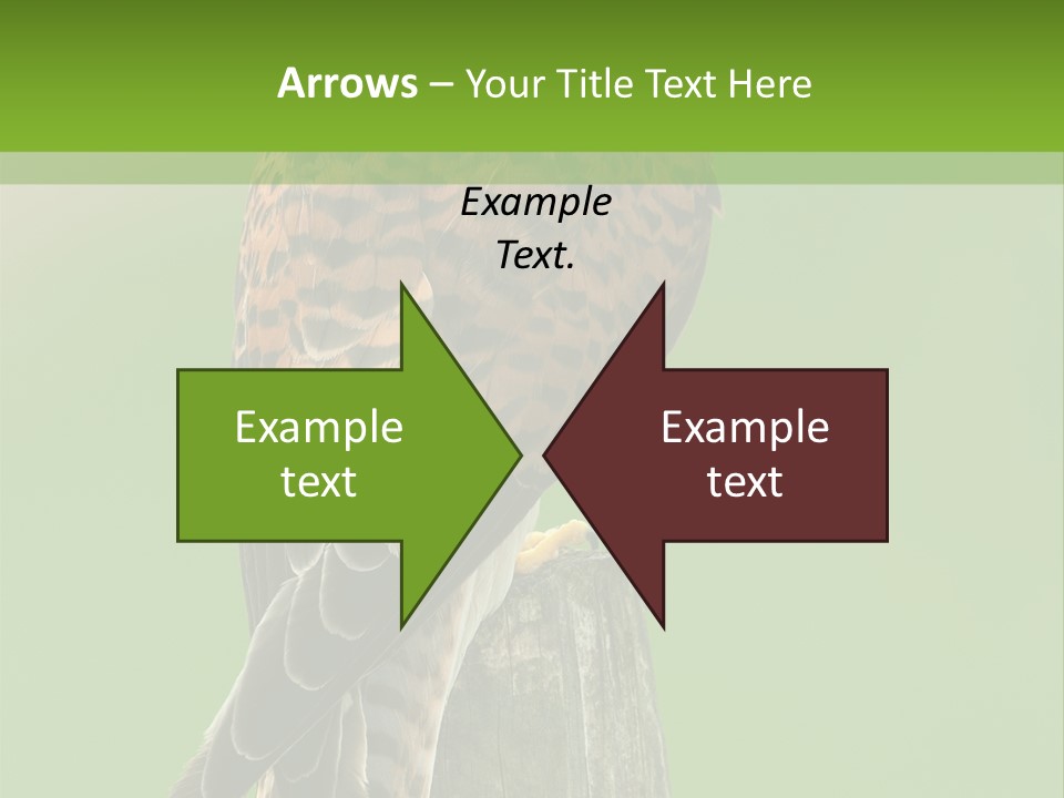 Single Life Old PowerPoint Template