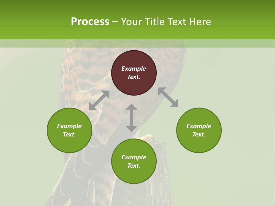 Single Life Old PowerPoint Template