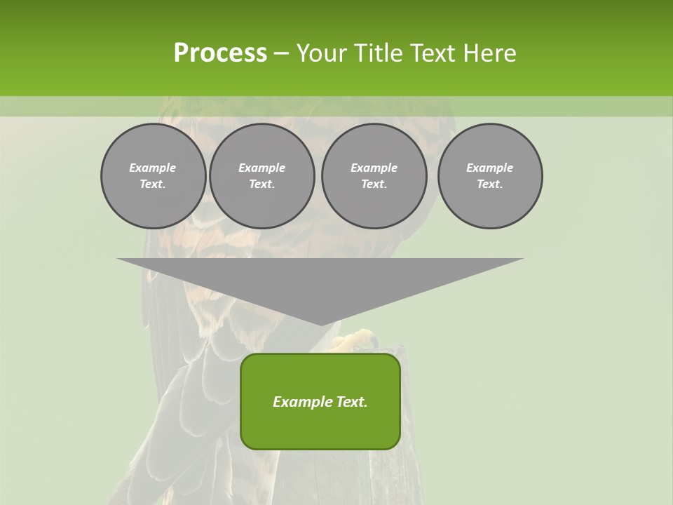 Single Life Old PowerPoint Template
