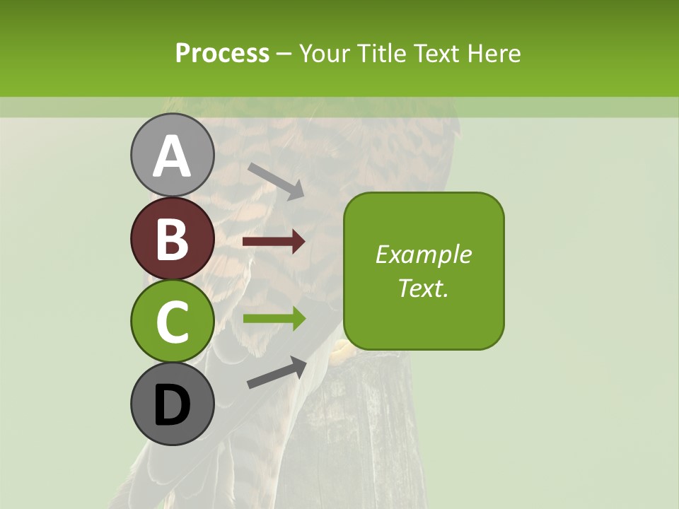 Single Life Old PowerPoint Template