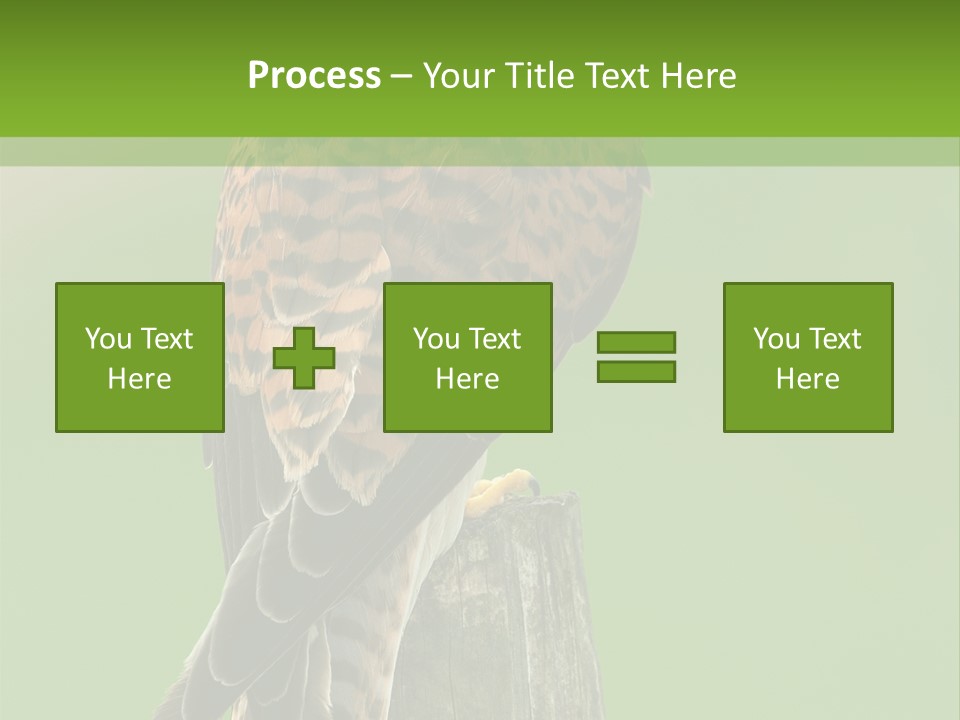 Single Life Old PowerPoint Template