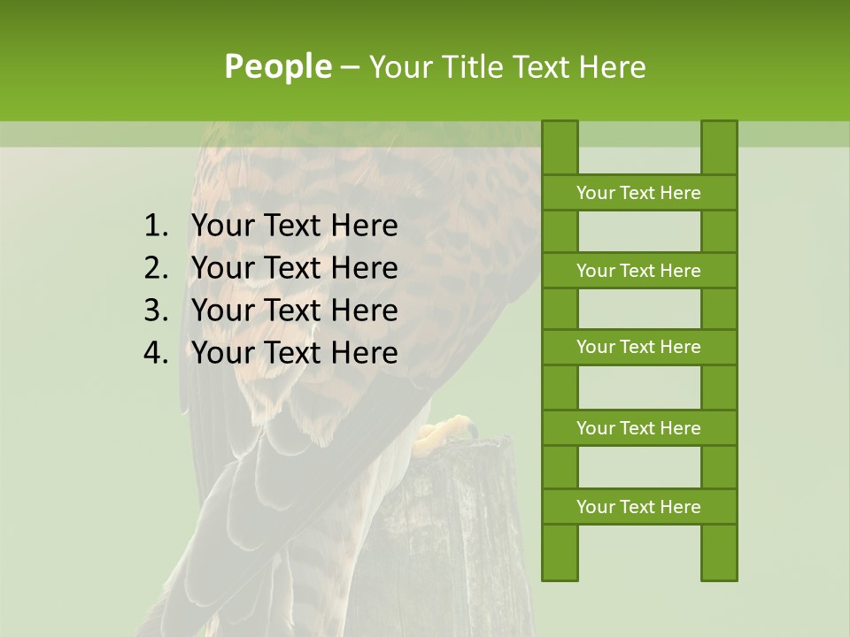 Single Life Old PowerPoint Template