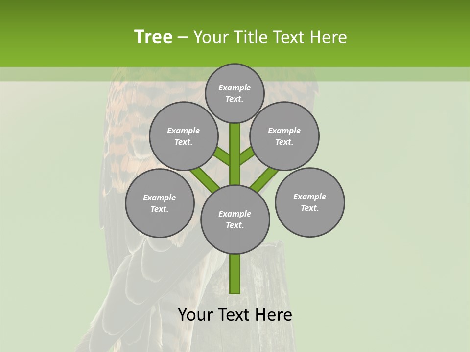 Single Life Old PowerPoint Template