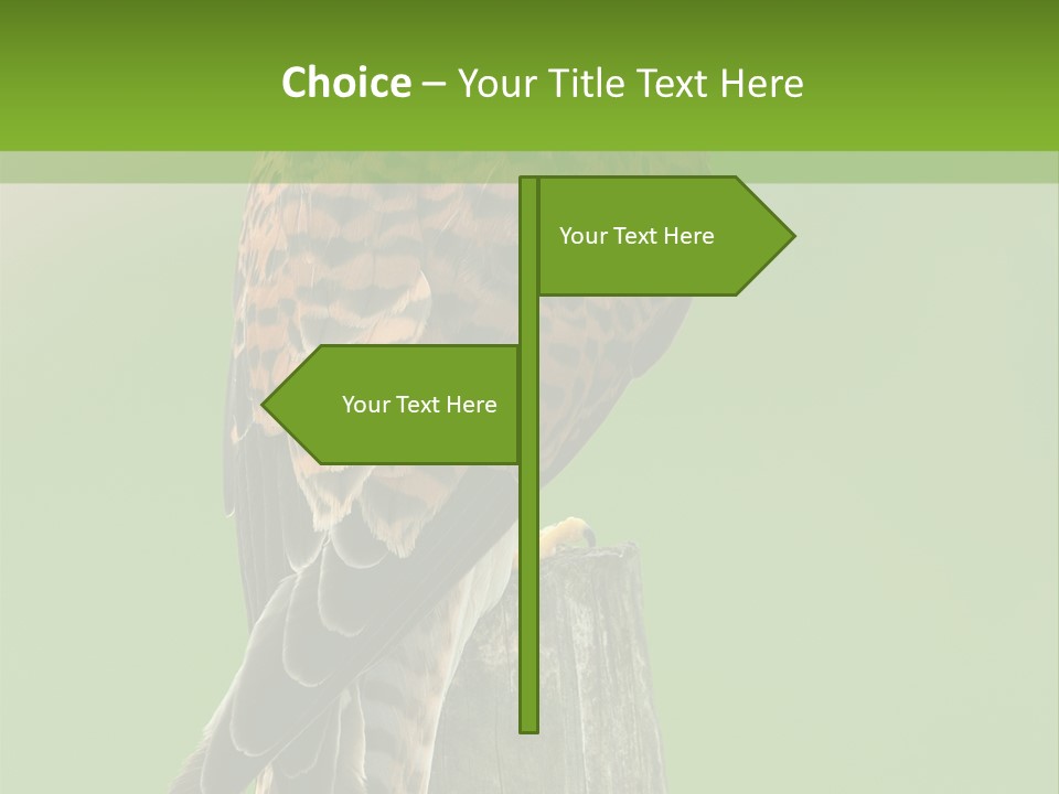 Single Life Old PowerPoint Template