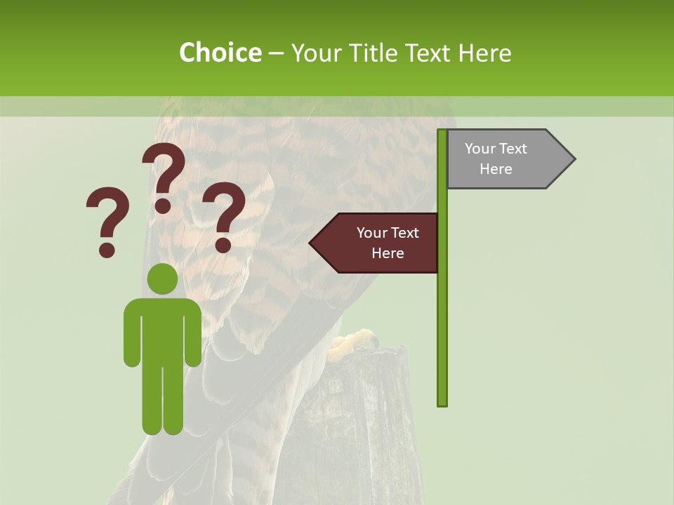 Single Life Old PowerPoint Template