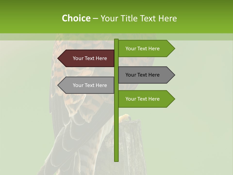 Single Life Old PowerPoint Template