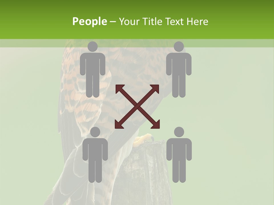 Single Life Old PowerPoint Template