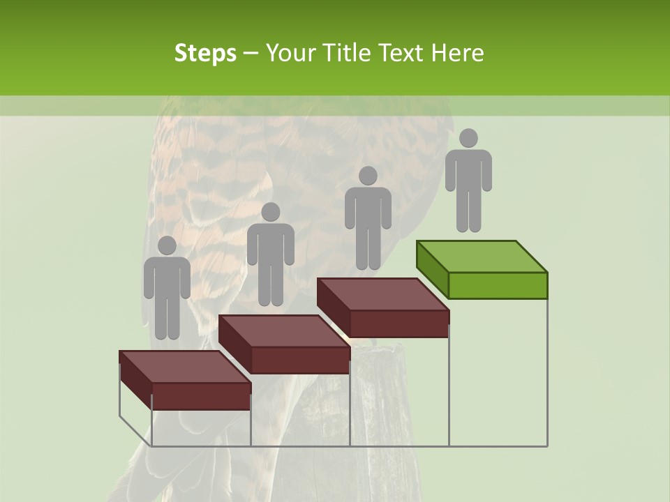 Single Life Old PowerPoint Template