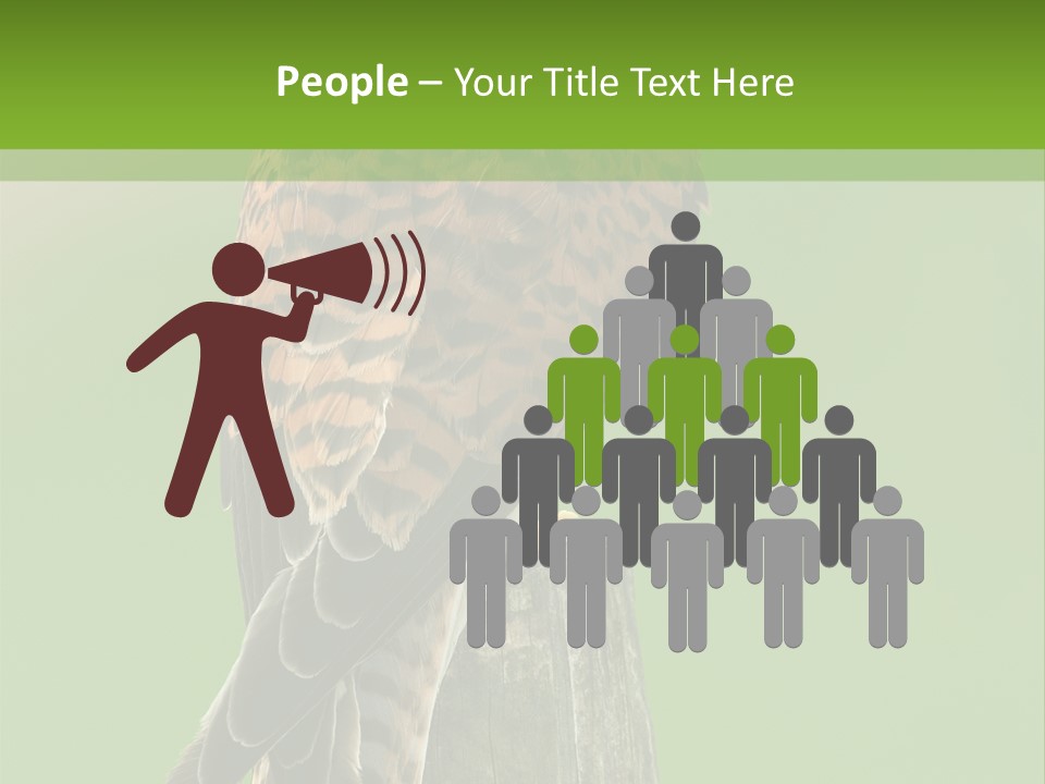 Single Life Old PowerPoint Template