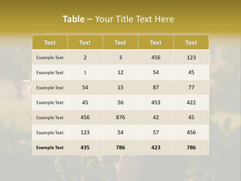 Woman Pensioner Retired PowerPoint Template