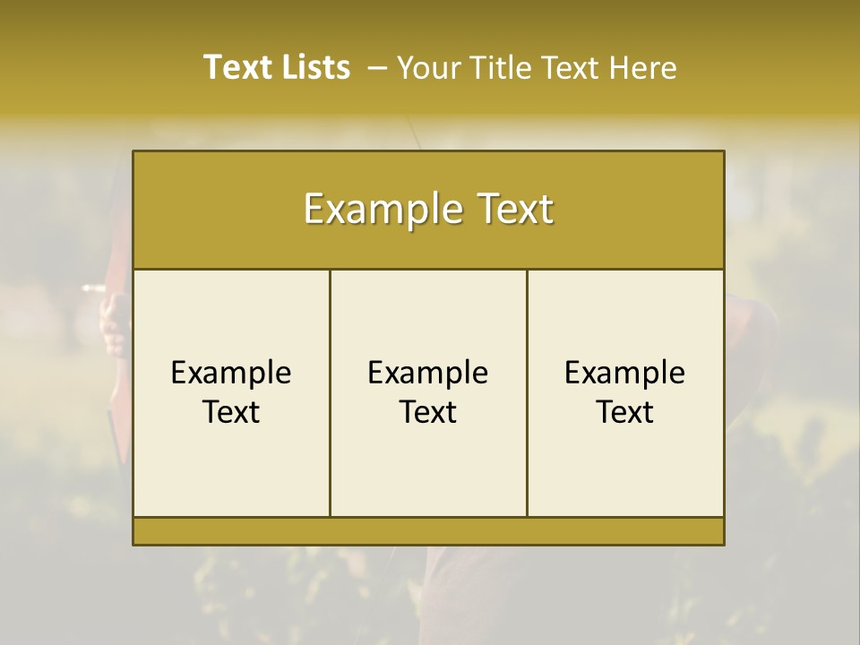 Woman Pensioner Retired PowerPoint Template